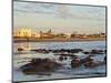 Beach at sunrise, Cabo Polonio, Rocha Department, Uruguay, South America-Karol Kozlowski-Mounted Photographic Print