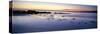 Beach at Sunrise, Jeanneret Beach, Bay of Fires National Park, Tasmania, Australia-null-Stretched Canvas