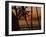 Beach at Sunset, Barbados, West Indies, Caribbean, Central America-Harding Robert-Framed Photographic Print