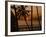 Beach at Sunset, Barbados, West Indies, Caribbean, Central America-Harding Robert-Framed Photographic Print