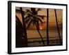 Beach at Sunset, Barbados, West Indies, Caribbean, Central America-Harding Robert-Framed Photographic Print