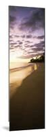 Beach at Sunset, Lanikai Beach, Oahu, Hawaii, USA-null-Mounted Photographic Print