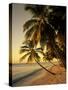 Beach at Sunset, Trinidad, Caribbean-Michael DeFreitas-Stretched Canvas