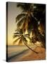Beach at Sunset, Trinidad, Caribbean-Michael DeFreitas-Stretched Canvas