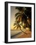 Beach at Sunset, Trinidad, Caribbean-Michael DeFreitas-Framed Photographic Print