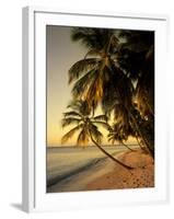 Beach at Sunset, Trinidad, Caribbean-Michael DeFreitas-Framed Photographic Print