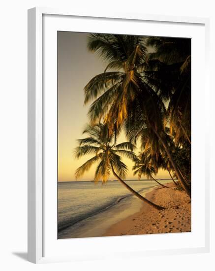 Beach at Sunset, Trinidad, Caribbean-Michael DeFreitas-Framed Photographic Print