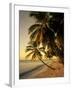 Beach at Sunset, Trinidad, Caribbean-Michael DeFreitas-Framed Photographic Print