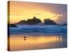 Beach at Sunset with Sea Stacks and Gull, Bandon, Oregon, USA-Nancy Rotenberg-Stretched Canvas