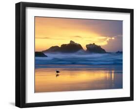 Beach at Sunset with Sea Stacks and Gull, Bandon, Oregon, USA-Nancy Rotenberg-Framed Photographic Print