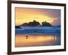 Beach at Sunset with Sea Stacks and Gull, Bandon, Oregon, USA-Nancy Rotenberg-Framed Photographic Print