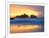 Beach at Sunset with Sea Stacks and Gull, Bandon, Oregon, USA-Nancy Rotenberg-Framed Photographic Print