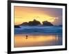 Beach at Sunset with Sea Stacks and Gull, Bandon, Oregon, USA-Nancy Rotenberg-Framed Photographic Print