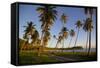 Beach at Sunset-Frank Fell-Framed Stretched Canvas