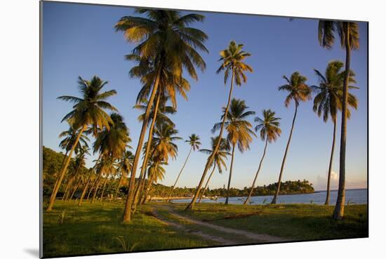 Beach at Sunset-Frank Fell-Mounted Photographic Print