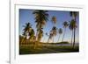 Beach at Sunset-Frank Fell-Framed Photographic Print