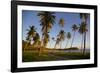 Beach at Sunset-Frank Fell-Framed Photographic Print