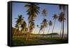 Beach at Sunset-Frank Fell-Framed Stretched Canvas