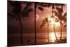 Beach At Sunset-Tony Craddock-Mounted Photographic Print