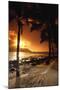 Beach At Sunset-Tony Craddock-Mounted Photographic Print