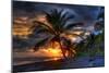 Beach at Sunset-Robert Kaler-Mounted Photographic Print