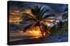 Beach at Sunset-Robert Kaler-Stretched Canvas