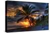 Beach at Sunset-Robert Kaler-Stretched Canvas