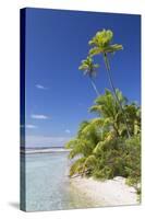 Beach at Tetamanu, Fakarava, Tuamotu Islands, French Polynesia-Ian Trower-Stretched Canvas