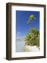 Beach at Tetamanu, Fakarava, Tuamotu Islands, French Polynesia-Ian Trower-Framed Photographic Print