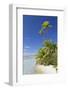 Beach at Tetamanu, Fakarava, Tuamotu Islands, French Polynesia-Ian Trower-Framed Photographic Print