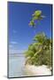 Beach at Tetamanu, Fakarava, Tuamotu Islands, French Polynesia-Ian Trower-Mounted Photographic Print