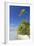 Beach at Tetamanu, Fakarava, Tuamotu Islands, French Polynesia-Ian Trower-Framed Photographic Print