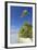 Beach at Tetamanu, Fakarava, Tuamotu Islands, French Polynesia-Ian Trower-Framed Photographic Print