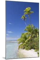 Beach at Tetamanu, Fakarava, Tuamotu Islands, French Polynesia-Ian Trower-Mounted Photographic Print