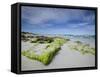 Beach at the Coast, Kangaroo Island, South Australia, Australia-Thorsten Milse-Framed Stretched Canvas