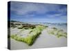 Beach at the Coast, Kangaroo Island, South Australia, Australia-Thorsten Milse-Stretched Canvas