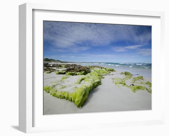 Beach at the Coast, Kangaroo Island, South Australia, Australia-Thorsten Milse-Framed Photographic Print