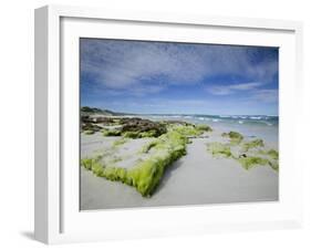 Beach at the Coast, Kangaroo Island, South Australia, Australia-Thorsten Milse-Framed Photographic Print