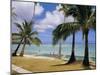 Beach at the Dai Ichi Hotel, Guam, Marianas Islands-Ken Gillham-Mounted Photographic Print