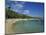 Beach at the Kyona Beach Club, Near Port Au Prince, Haiti, West Indies, Caribbean-Murray Louise-Mounted Photographic Print