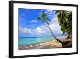 Beach at The Sandpiper Hotel, Holetown, St. James, Barbados, Caribbean-null-Framed Premium Giclee Print