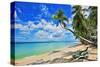 Beach at The Sandpiper Hotel, Holetown, St. James, Barbados, Caribbean-null-Stretched Canvas