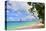 Beach at The Sandpiper Hotel, Holetown, St. James, Barbados, Caribbean-null-Stretched Canvas