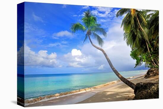 Beach at The Sandpiper Hotel, Holetown, St. James, Barbados, Caribbean-null-Stretched Canvas