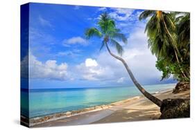 Beach at The Sandpiper Hotel, Holetown, St. James, Barbados, Caribbean-null-Stretched Canvas