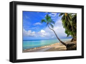 Beach at The Sandpiper Hotel, Holetown, St. James, Barbados, Caribbean-null-Framed Art Print