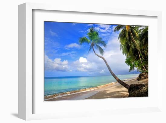 Beach at The Sandpiper Hotel, Holetown, St. James, Barbados, Caribbean-null-Framed Art Print