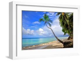 Beach at The Sandpiper Hotel, Holetown, St. James, Barbados, Caribbean-null-Framed Art Print