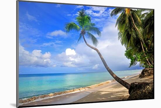 Beach at The Sandpiper Hotel, Holetown, St. James, Barbados, Caribbean-null-Mounted Art Print