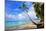 Beach at The Sandpiper Hotel, Holetown, St. James, Barbados, Caribbean-null-Mounted Art Print